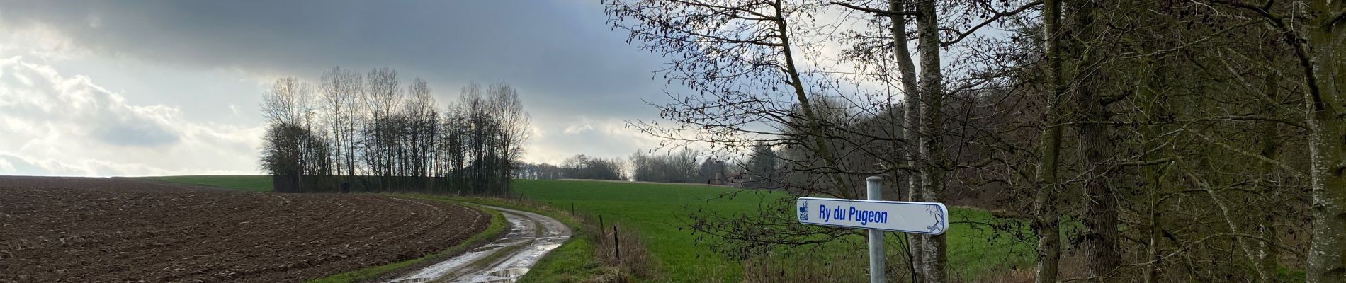 Tocht Stappen Villers-la-Ville - Promenade du Vieux Chemin par Jumerée - Photo