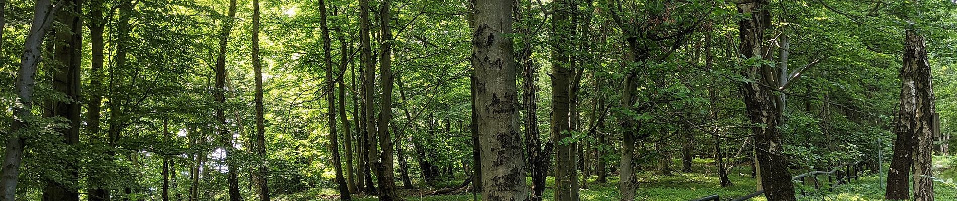 Excursión A pie Koclířov - NS Hřebečské důlní stezky - Photo