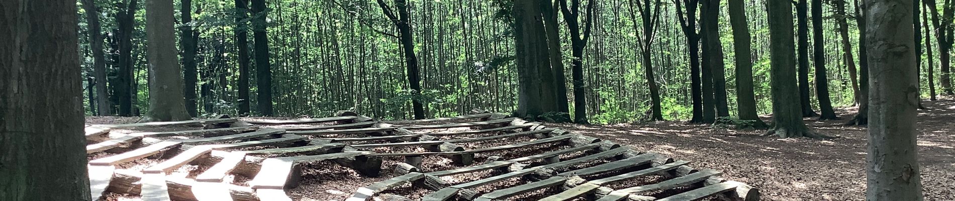 Tocht Stappen Holsbeek - Holsbeek - Chartreuzenbos (Dutsel) 21/07/20 - Photo