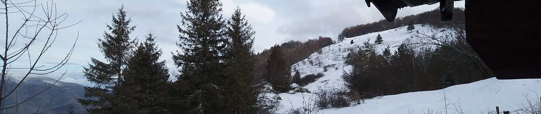 Tocht Sneeuwschoenen Sewen - SewenWissgrutFennmatt - Photo