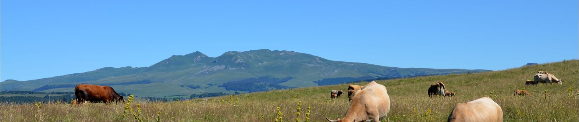 Randonnée Marche Égliseneuve-d'Entraigues - Egliseneuve_Entraigues_Cime_Pres - Photo