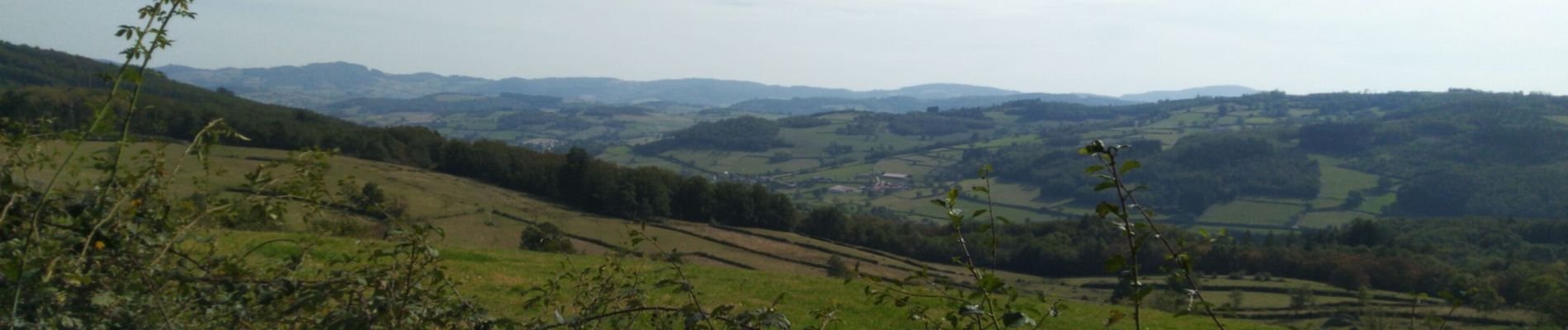 Trail Walking Saint-Bonnet-des-Bruyères - La Michèle  - Photo