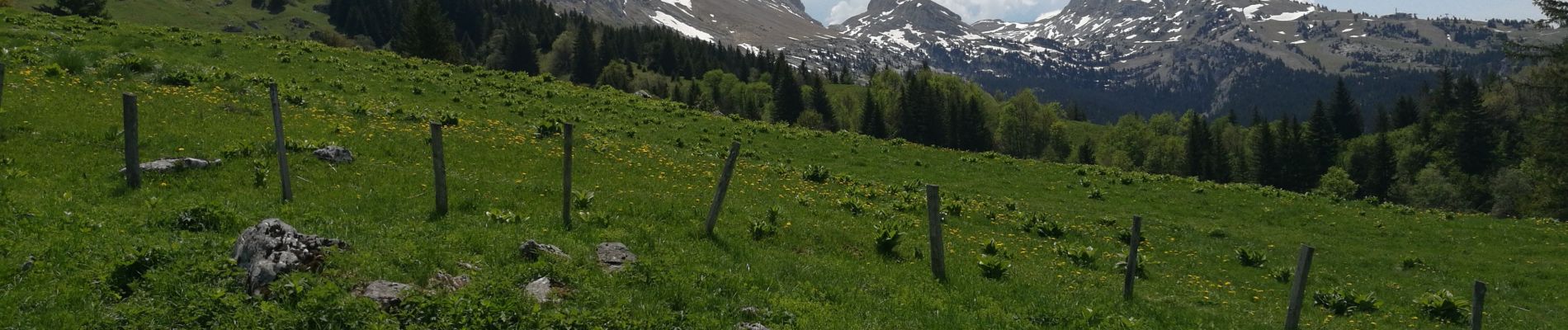 Trail Walking Villard-de-Lans - La Conversaria - Sentier Gobert - Photo