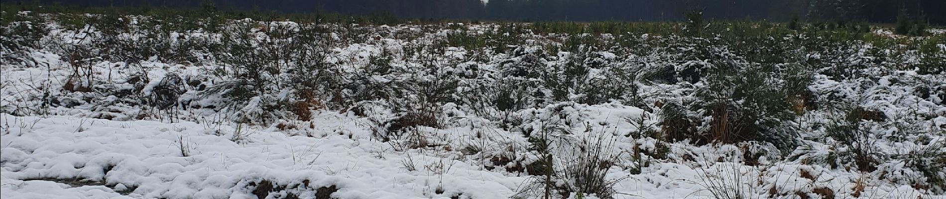 Randonnée Marche Houffalize - les colas - Photo