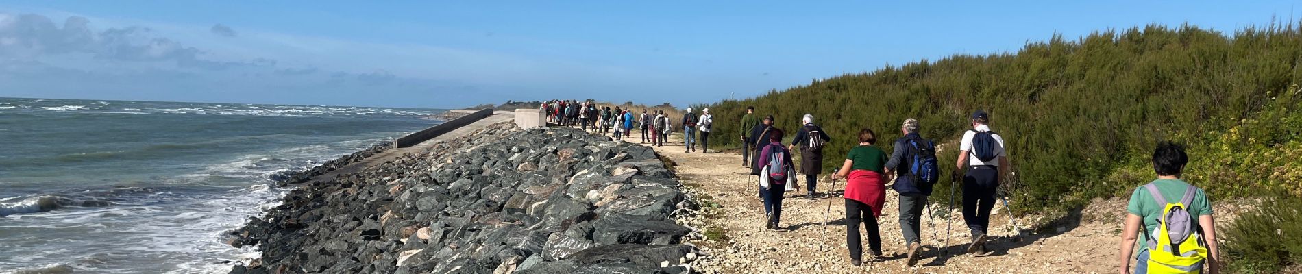 Trail Walking Saint-Clément-des-Baleines - Saint clement les baleines - Photo