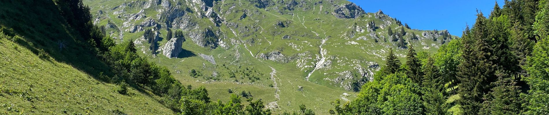 Trail Walking Châtel - Les Mattes - Photo