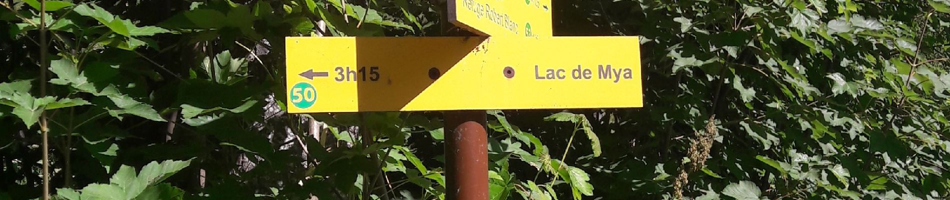 Excursión Senderismo Bourg-Saint-Maurice - les Chapieux, refuge de la croix du bonhomme et crête  - Photo