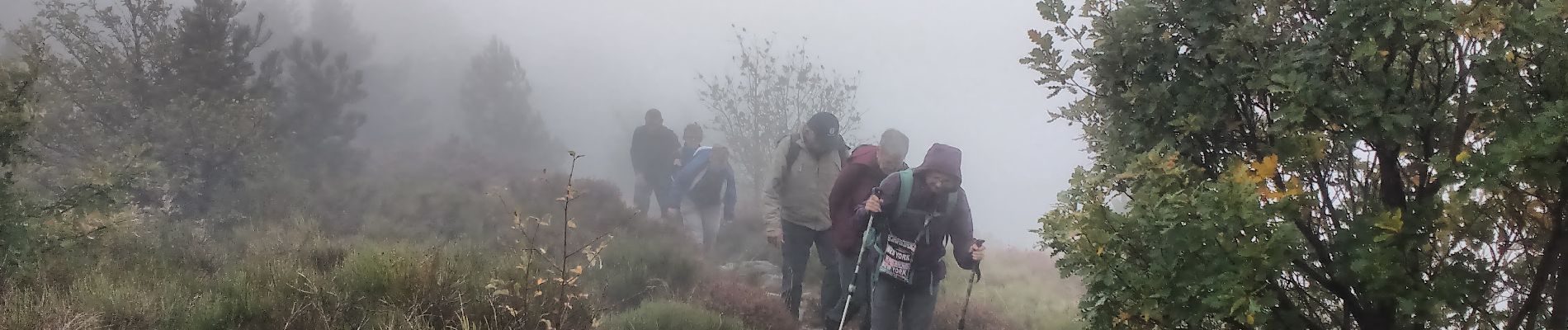 Tocht Stappen Aizac - Aizac-Sommet de Rouyon-La bastide sur Bésorgue - Photo