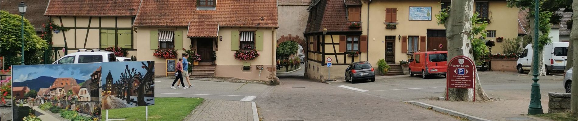 Randonnée Marche Ribeauvillé - boucle ribeauvillé-château St Ulrich-carrefour du cerisier noir-bergheim-ribeauvillé - Photo