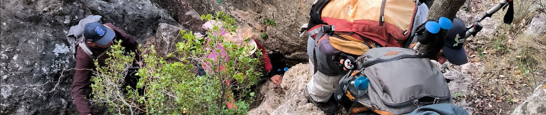 Trail Walking La Roquebrussanne - la source des orris - Photo