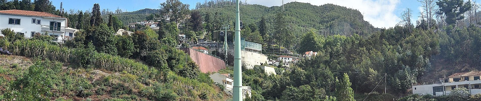 Tour Zu Fuß Funchal (Santa Maria Maior) - Levada do Bom Sucesso - Photo