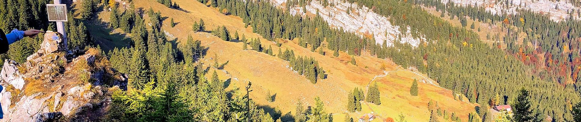 Tour Zu Fuß Bayrischzell - Wendelstein - Birkenstein - Photo