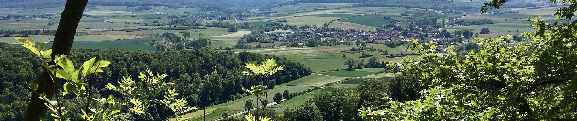 Tour Zu Fuß Liebenau - Zum Naturdenkmal Rosenberg - Photo