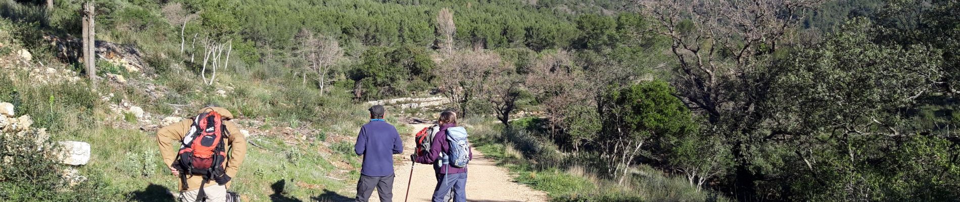 Randonnée Marche Cuers - Barres de Cuers  - Photo