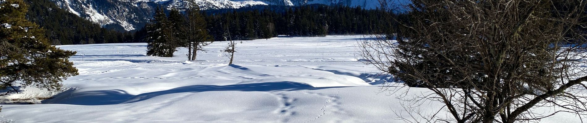 Tocht Sneeuwschoenen Vaulnaveys-le-Haut - Lac Achard - Photo