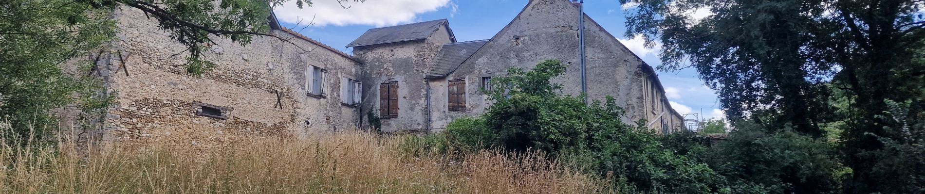 Tocht Te voet Sainte-Mesme - Boucle en forêt de Dourdan au départ de Sainte Mesme - Photo