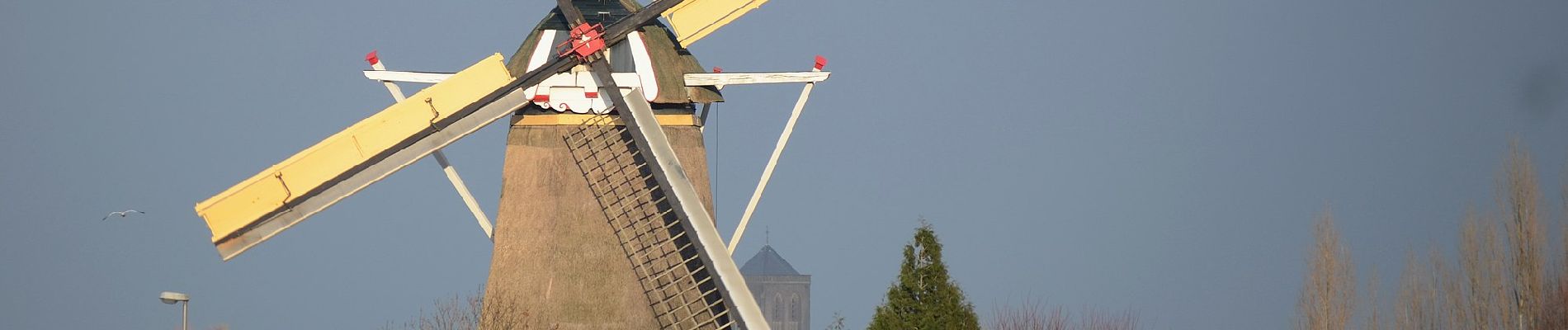 Excursión A pie Zevenaar - Rijnstrangenpad - Photo