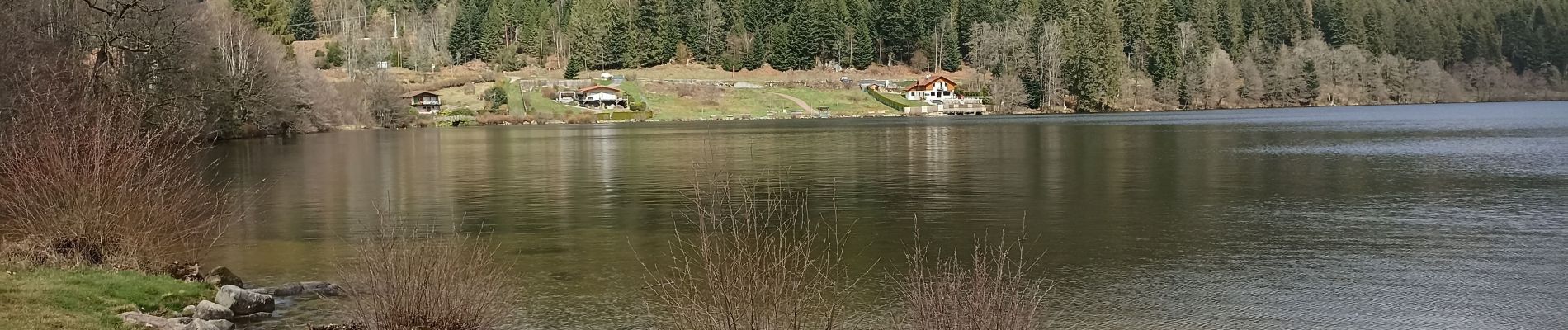 Trail Walking Gérardmer - tour du lac et cascade Merelle  - Photo