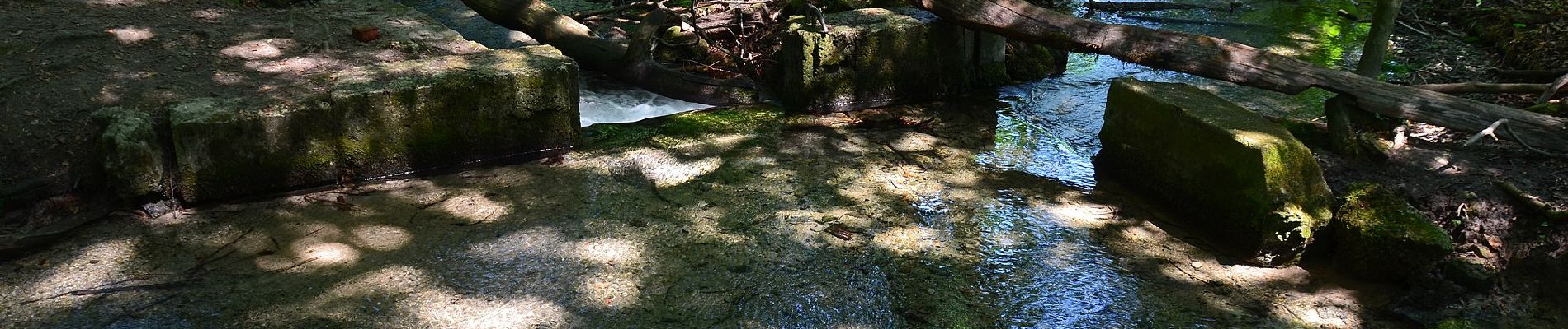 Excursión A pie Räbke - Zielwanderweg Königslutter Schunterquelle - Photo