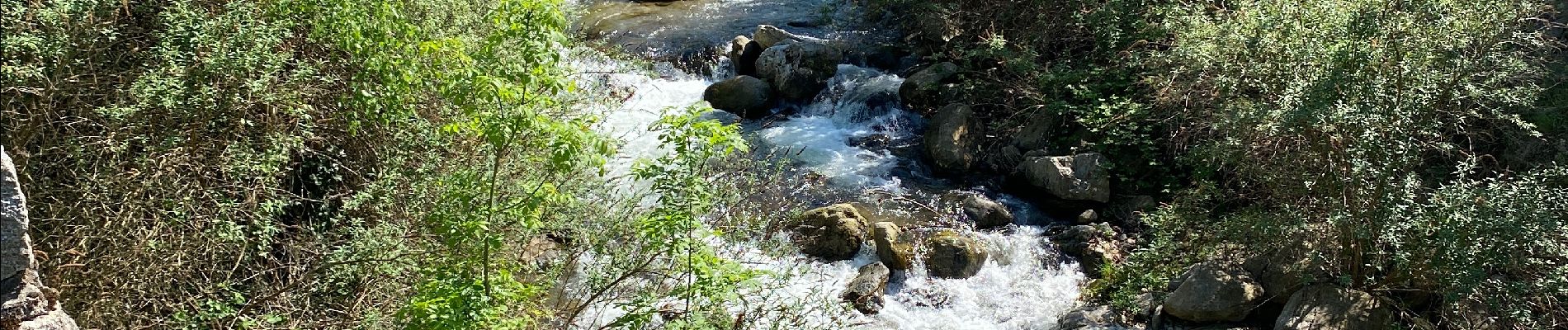 Tour Wandern Vernet-les-Bains - Abbaye de St Martin du Canigou - Photo