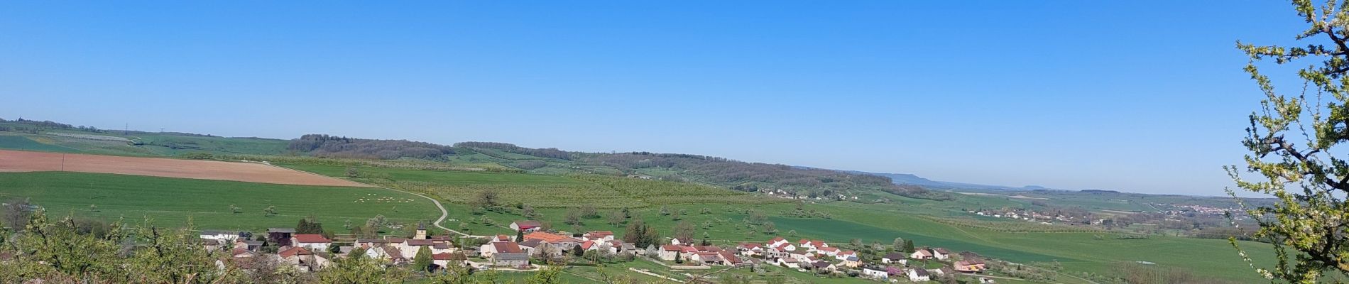 Randonnée Vélo électrique Capavenir-Vosges - autour de Thaon - Photo