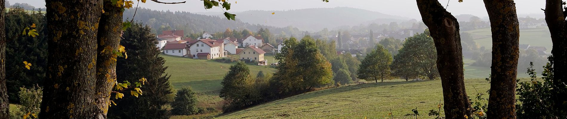 Trail On foot Rattiszell - Faltl-Edi-Weg - Photo