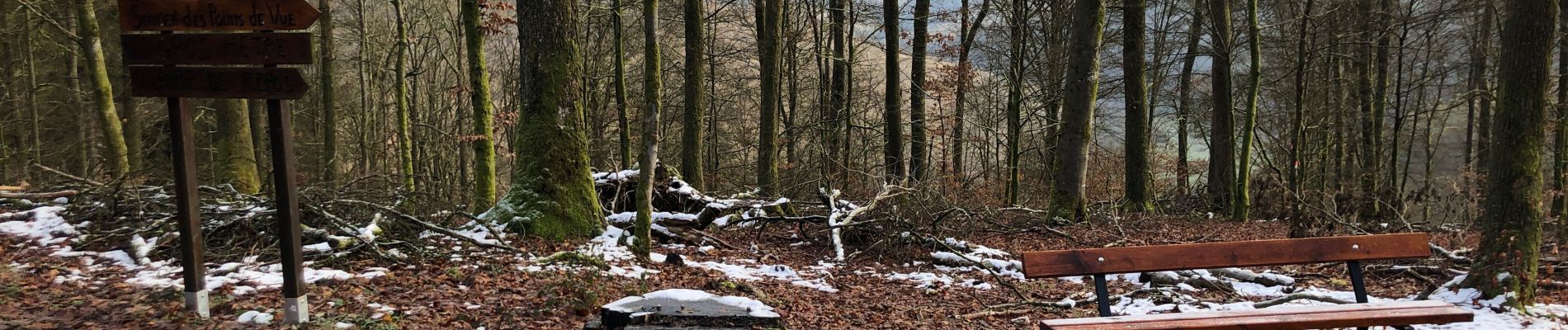 Trail Walking Bouillon - Corbion Germadoises 12 - Photo