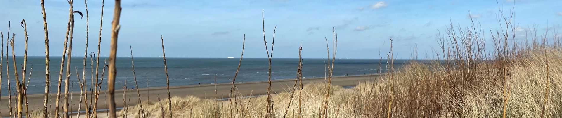 Tocht Stappen De Haan - De hann 2 Weduine - Photo