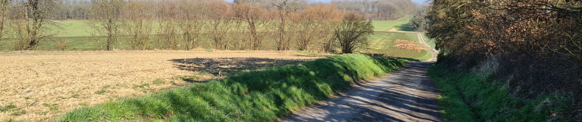 Trail Walking Namur - Malonne_Floreffe - Photo