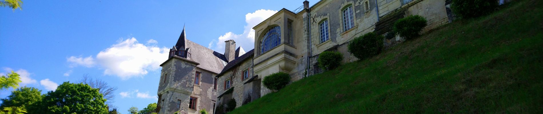 Randonnée Marche Saint-Germain-sur-Vienne - Saint-Germain-sur-Vienne - Zig zag GR3 Fontevraud-l'Abbaye - 20km 350m 4h50 (45mn) - 2024 05 08 - Photo