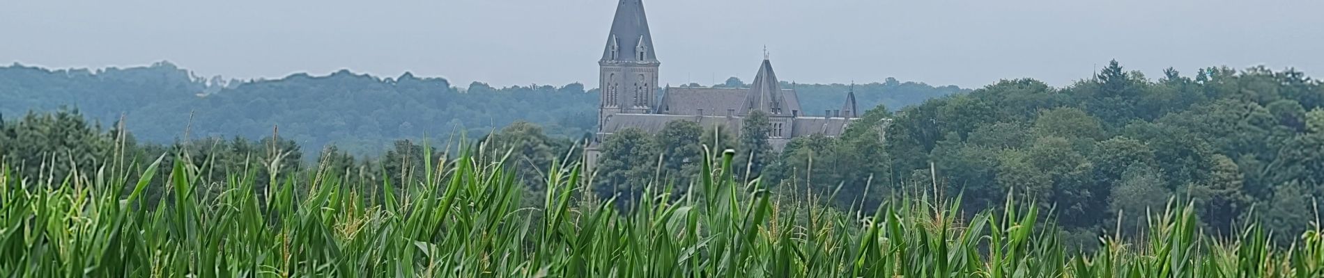 Tocht Stappen Anhée - maredsoux - Photo