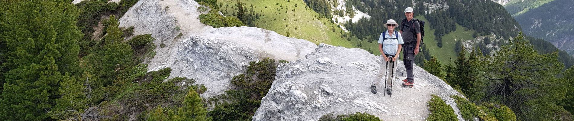 Tocht Stappen Pralognan-la-Vanoise - mont charvet pralognan - Photo