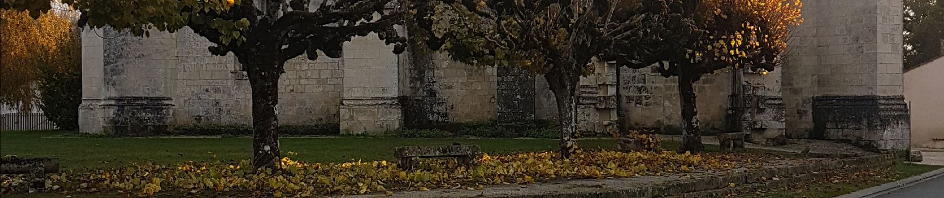 Tour Wandern Varzay - marche des chênes centenaires  - Photo