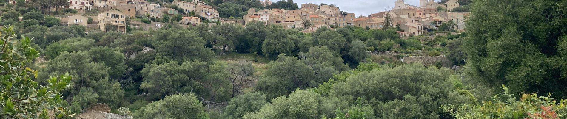 Trail Walking Aregno - Algajola  - Photo