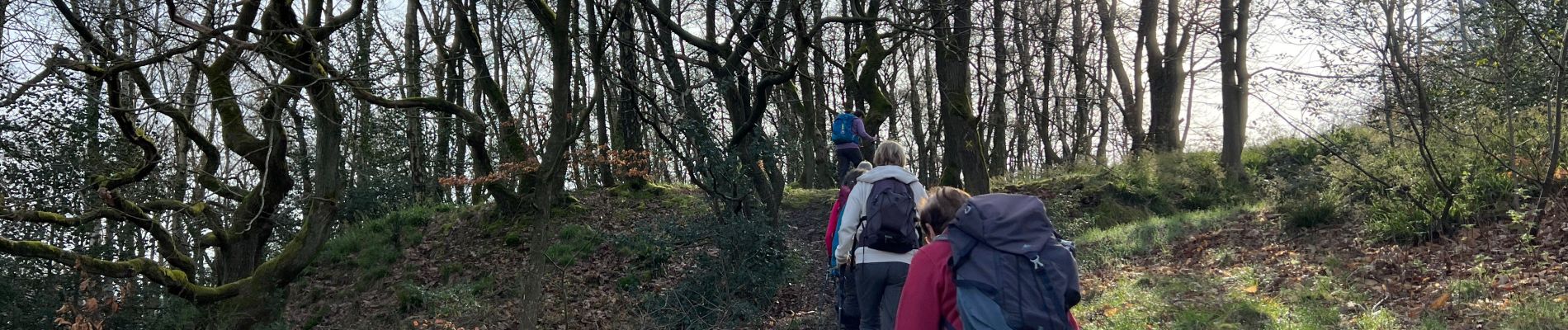 Tocht Stappen Luik - De gare en gare Angleur-Esneux - Photo