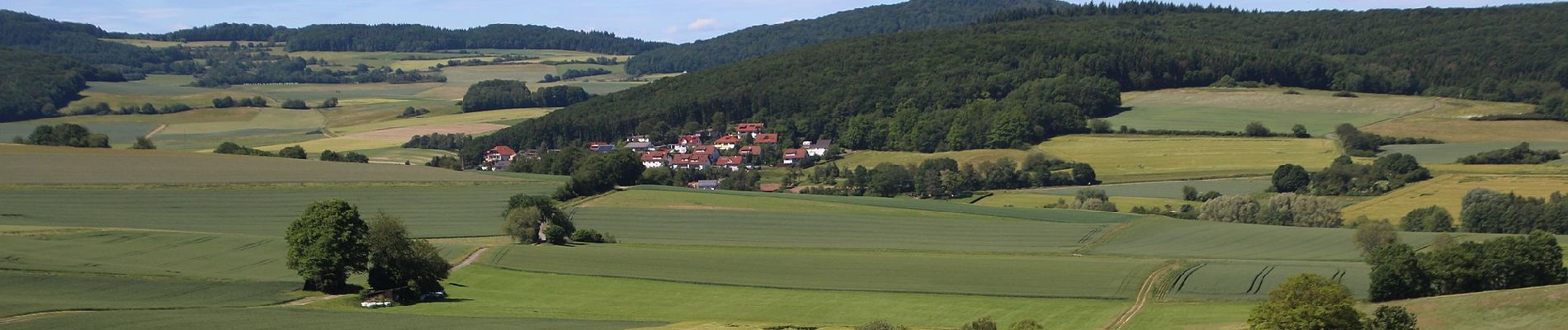 Percorso A piedi Gladenbach - Wollenbergweg - Photo