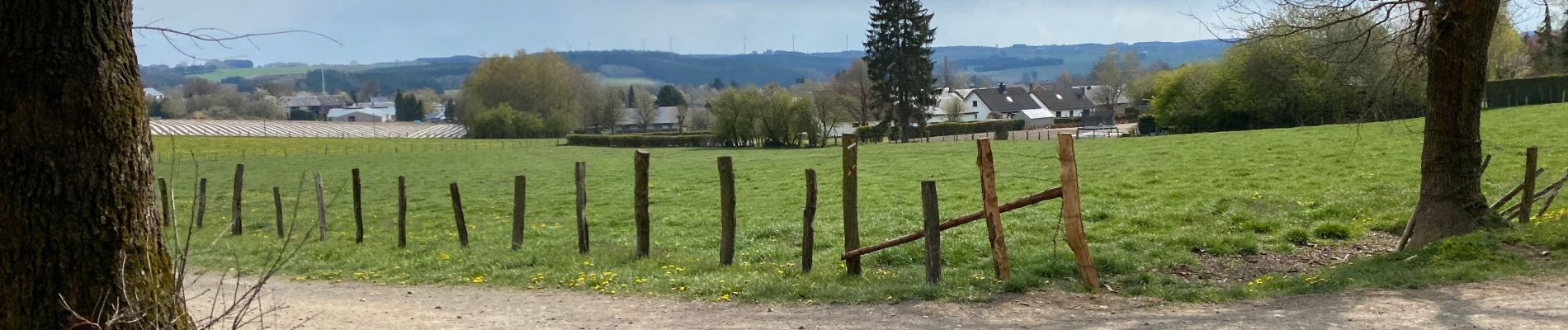 Tour Wandern Vielsalm - Vielsalm Gouvy 17,5 km - Photo