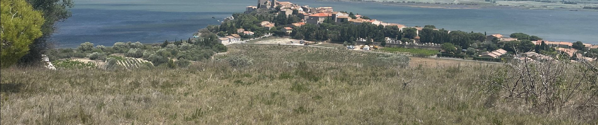 Tour Wandern Bages - Nages d’Aude - Photo