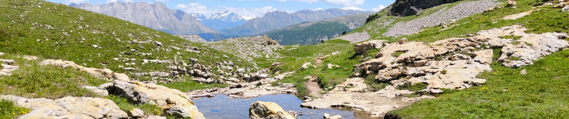 Excursión Senderismo Le Dévoluy - Col du Festre / Col de l'Aiguille . Dévoluy  - Photo