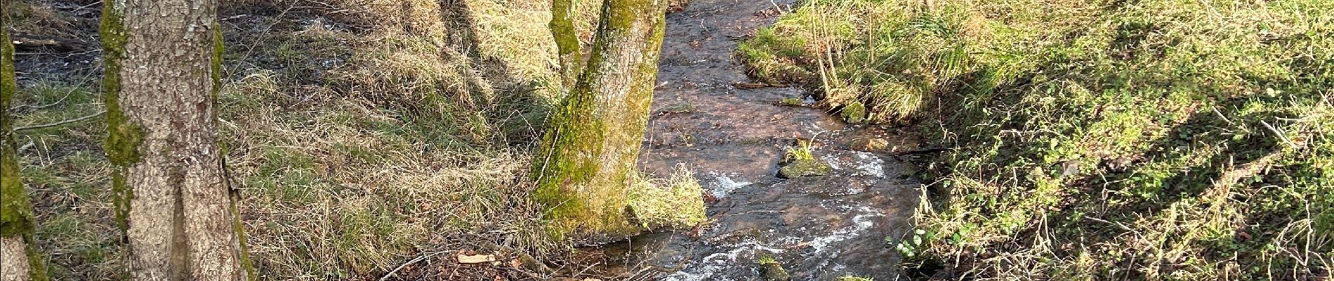 Randonnée  Lutzelhouse - Wisches sentier des géants  - Photo