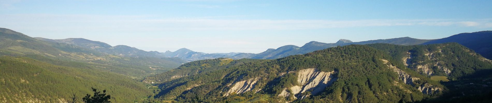 Tocht Stappen Montauban-sur-l'Ouvèze - Montagne de Chamouse - Photo