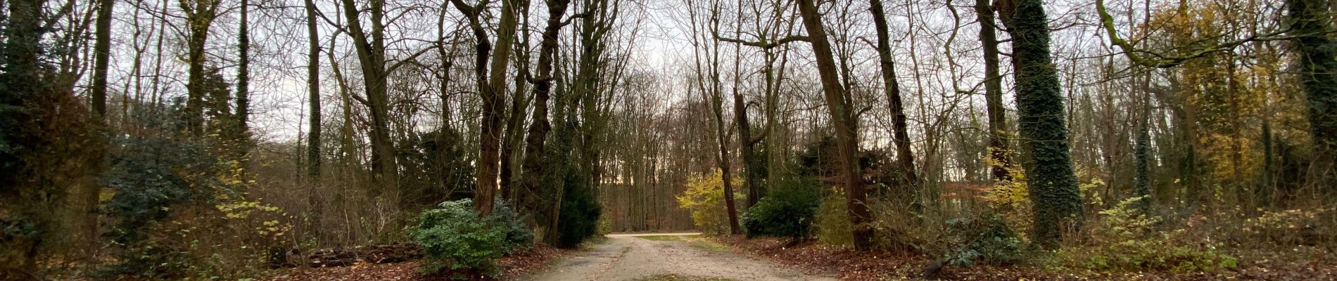 Randonnée Marche Tervueren - Tervuren 22 km - Photo