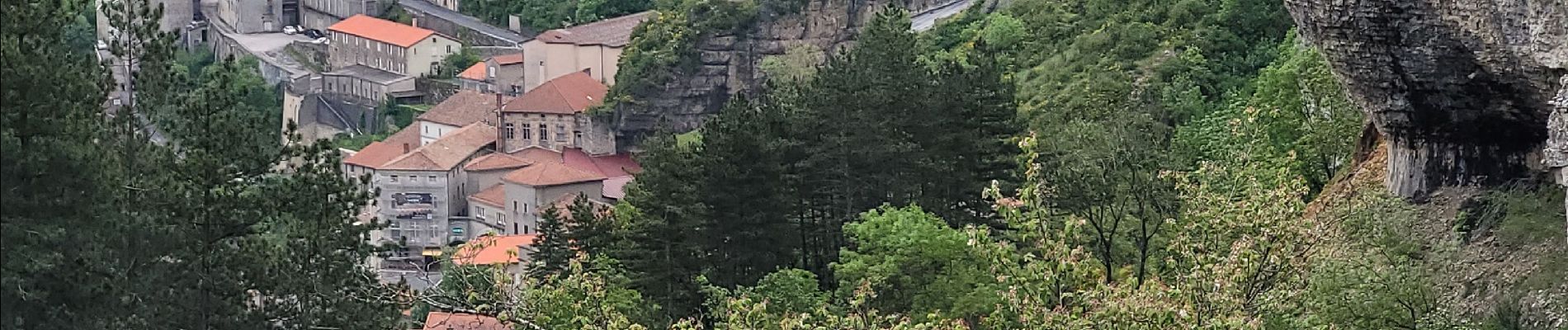 Excursión Senderismo Roquefort-sur-Soulzon - le Combalou par le sentier des échelles - Photo