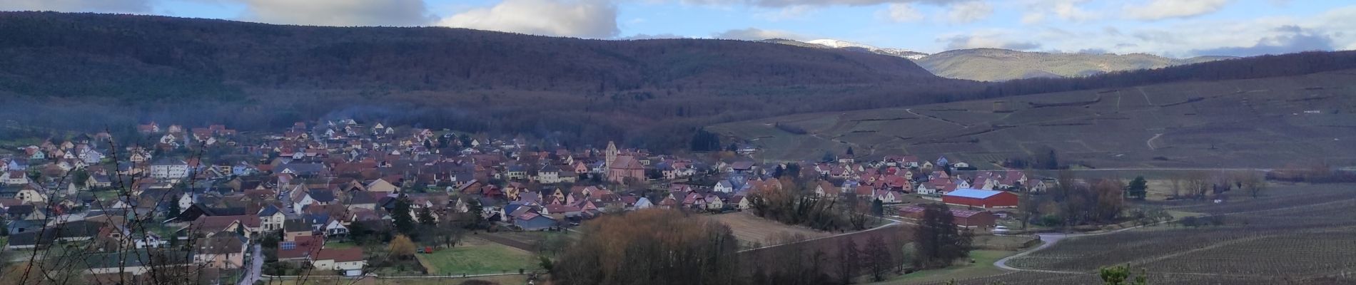 Randonnée Marche Westhalten - Westhalten Bollenberg - Photo