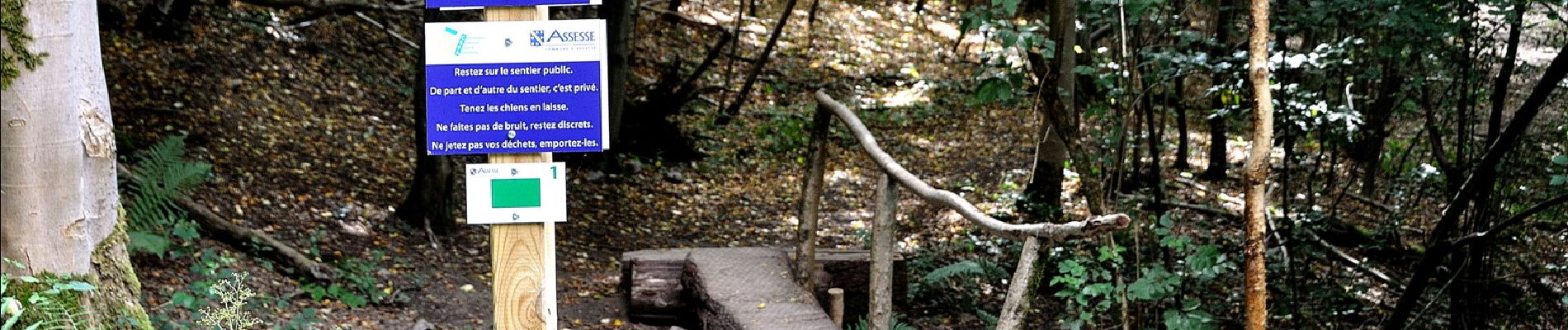 Point d'intérêt Assesse - Passerelle des Comognes de Crupet - Photo