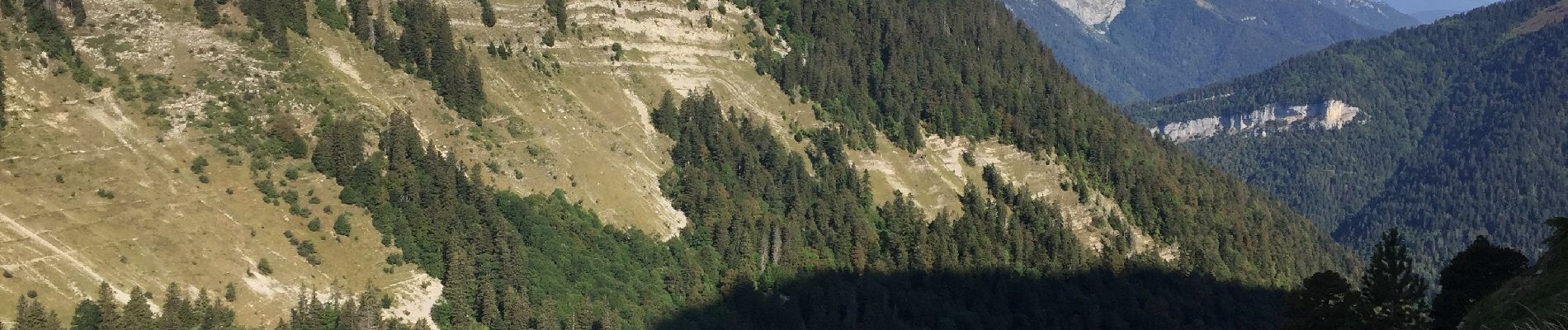 Tocht Stappen Saint-Pierre-de-Chartreuse - La Dent de Crolles en boucle - Photo