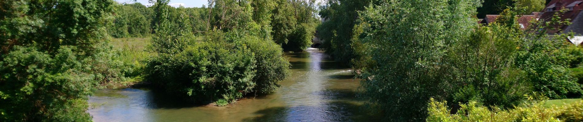 Excursión Senderismo Reignac-sur-Indre - Reignac-sur-Indre - Azay-sur-Indre - 16.1km 145m 3h25 - 2020 06 22 - Photo