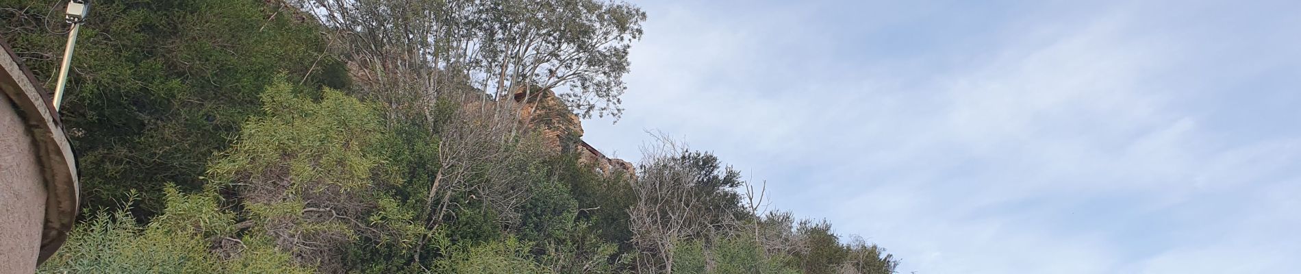 Randonnée Marche Le Lavandou - cavaliere 11 janvier 2023 par le temple d'hercule - Photo