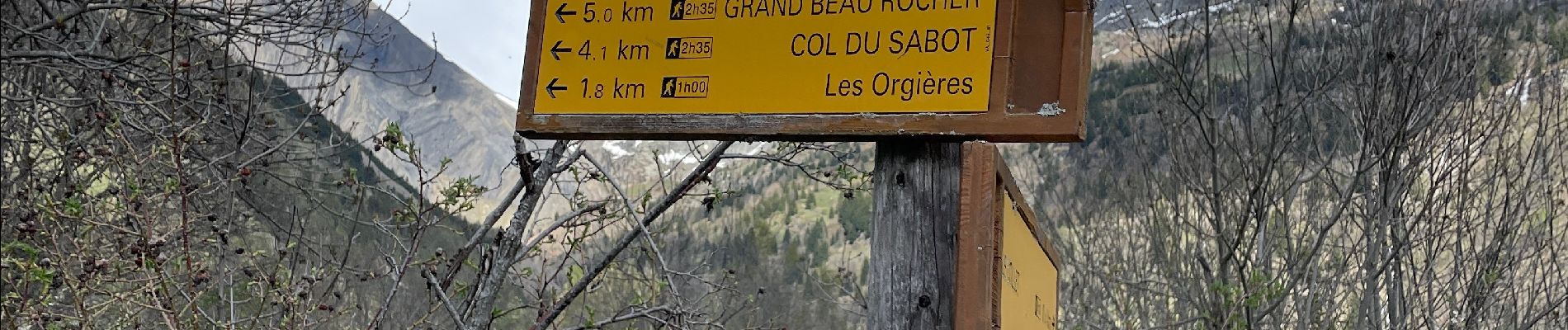 Randonnée Marche Vaujany - 1 er Sabot 2023 de la neige et des fleurs  - Photo