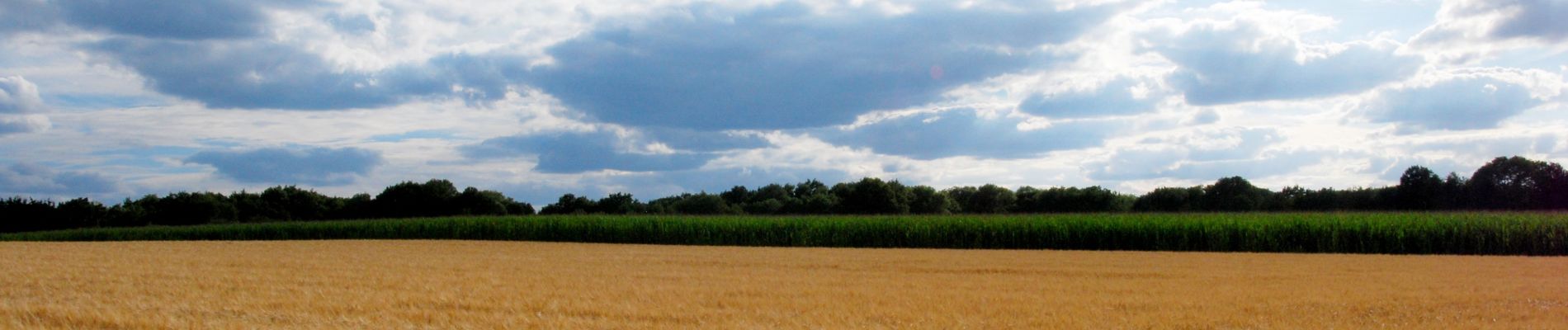 Percorso Marcia Crécy-la-Chapelle - Les coteaux du Grand Morin - Photo